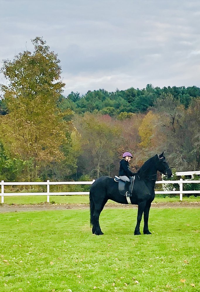 Mountain View Training Center - equestrian in Granby, MA