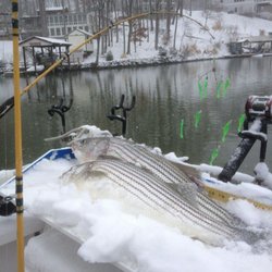 Rockfish Adventures