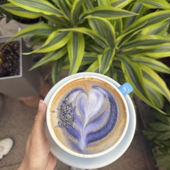 Remi43 Flower & Coffee - hot lavender latte - Coffee & Tea Near Me - New York, New York