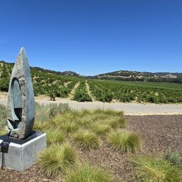 Small portion of the vineyards. Small portion of the vineyards.