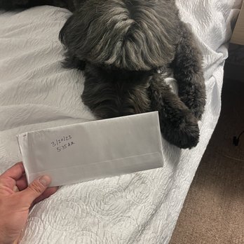 Groomit - Pet Groomers Near Me