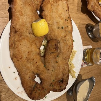 Andy's Krablergarten - Wiener schnitzel with mushroom sauce and Fusilli - German Near Me - Munich, BY Andy's Krablergarten - Wiener schnitzel with mushroom sauce and Fusilli - German Near Me - Munich, BY