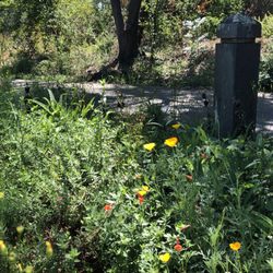 Views from El Palo Alto Park!
