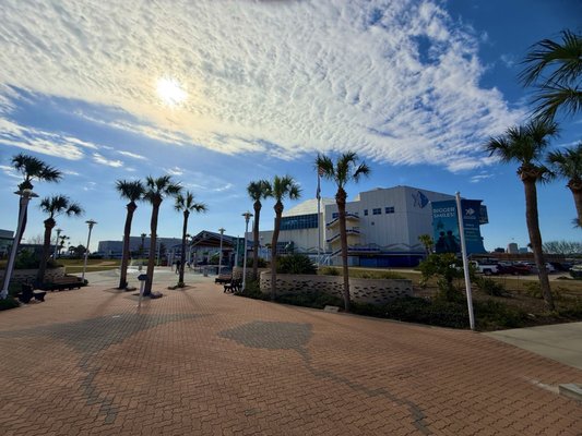 Texas State Aquarium by null