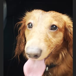 After playing near the sprinklers