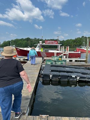 Rugosa Lobster Tours by null