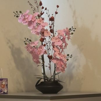 Blossom Spa Hollywood - Skin Care Near Me - Los Angeles, California Blossom Spa Hollywood - Skin Care Near Me - Los Angeles, California