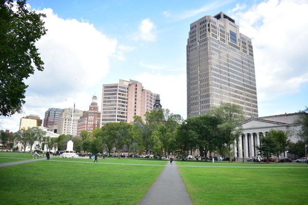 New Haven Green by null