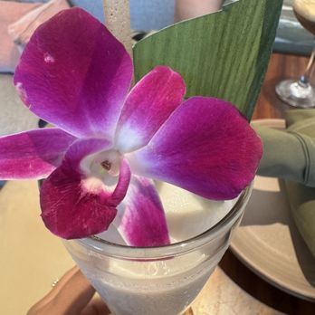 Coco Maya - Coco vaya - Caribbean Near Me - San Diego, California Coco Maya - Coco vaya - Caribbean Near Me - San Diego, California