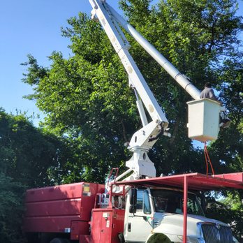 BJS Tree Service - a bucket truck with a bucket - Tree Services Near Me - Newark, New Jersey