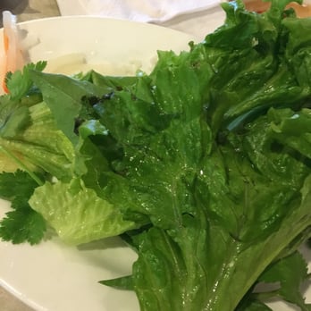 Pho Pasteur 2 - Old lettuces... - Vietnamese Near Me - Carrollton, Texas Pho Pasteur 2 - Old lettuces... - Vietnamese Near Me - Carrollton, Texas