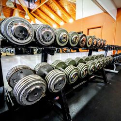 Zoo Gym
