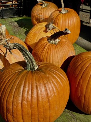 Grand Army Plaza Greenmarket by null Grand Army Plaza Greenmarket by null