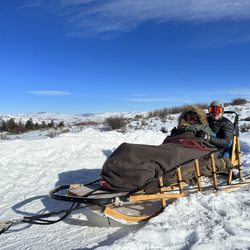 Mountain Musher - Dog sled!