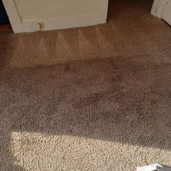 KC Carpet Care