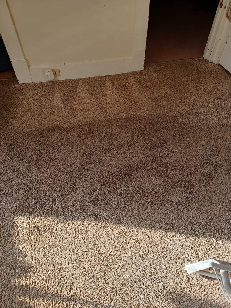 KC CARPET CARE Updated September 2024 12 Photos Nashport, Ohio Carpet Cleaning Phone