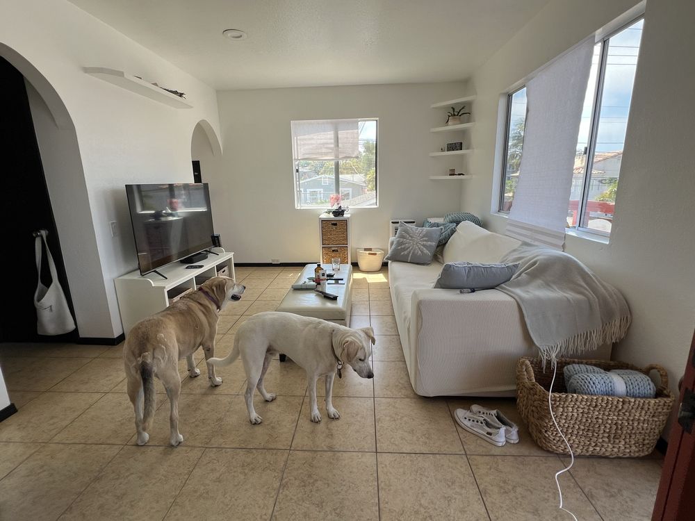 Jen’s Pet Sitting - pet boarding facility in San Diego, CA