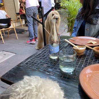 Comedor Jacinta - dog friendly patio! - Mexican Near Me - México, D.F., DIF Comedor Jacinta - dog friendly patio! - Mexican Near Me - México, D.F., DIF