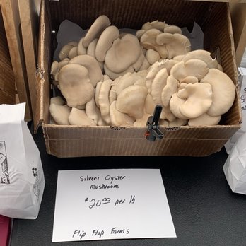 Uptown Farmers Market - Fresh mushrooms  Dec 2024 - Farmers Market Near Me - Phoenix, Arizona