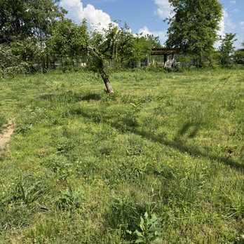 RF Lawn Care - Lawn Services Near Me - Crossville, Alabama RF Lawn Care - Lawn Services Near Me - Crossville, Alabama