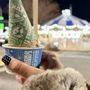 Photo of Ben & Jerry’s
