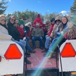 The Christmas Tree Farm - Horse wagon to farm