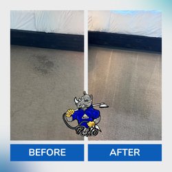 Rino Carpet Cleaning