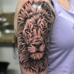 Beautiful lion.