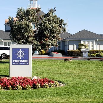 Vibrant Niche - Chiropractors Near Me - Redwood City, California Vibrant Niche - Chiropractors Near Me - Redwood City, California