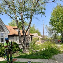Dennis & Son Tree Service