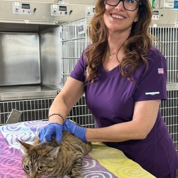 Western Animal Hospital - In the treatment room - Veterinarians Near Me - Glendale, Arizona Western Animal Hospital - In the treatment room - Veterinarians Near Me - Glendale, Arizona