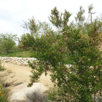 Anaheim Coves - Parks Near Me - Anaheim, California
