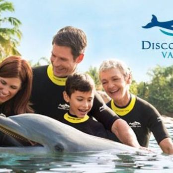 Kingdom Destinations - Seaworld Discovery Cove - Travel Agents Near Me Kingdom Destinations - Seaworld Discovery Cove - Travel Agents Near Me
