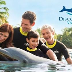 Kingdom Destinations - Seaworld Discovery Cove