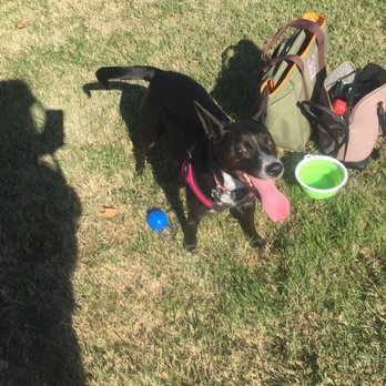 Turlock Dog Park - Dog Parks Near Me - Turlock, California Turlock Dog Park - Dog Parks Near Me - Turlock, California