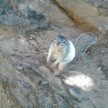 Riverside Walk - Don't feed the friendly Wildlife - Hiking Near Me