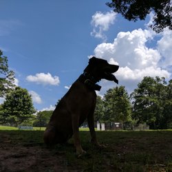 Lake Court Dog Park