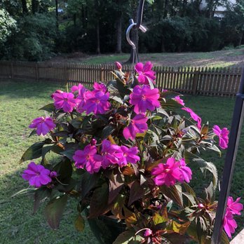 The Garden - Nurseries & Gardening Near Me - Bessemer, Alabama The Garden - Nurseries & Gardening Near Me - Bessemer, Alabama