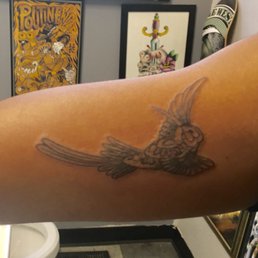 Humming Bird done by Chico
