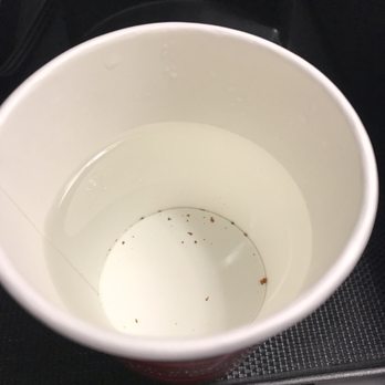 Denver Marriott Tech Center - Disgusting hot water from coffee maker - Hotels Near Me - Denver, Colorado
