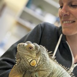 Lebanon Small Animal Clinic