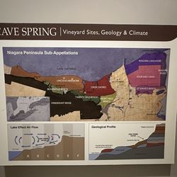 Cave Spring Vineyard