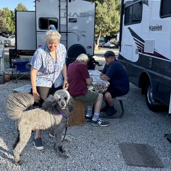 Paso Robles Rv Ranch & Campground - RV Parks Near Me - Paso Robles, California Paso Robles Rv Ranch & Campground - RV Parks Near Me - Paso Robles, California