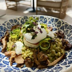 Riva - Farro Verde Breakfast Bowl: poached egg, herbed labneh, roasted mushrooms. Healthy but ridiculously DELICIOUS too!!! Get this!!!