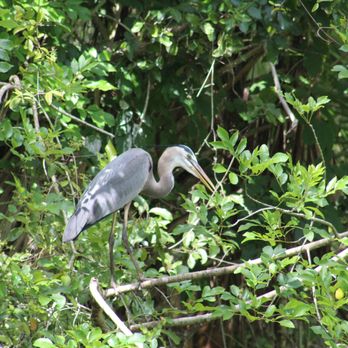 Big Cypress Bend Boardwalk - Parks Near Me - Naples, Florida