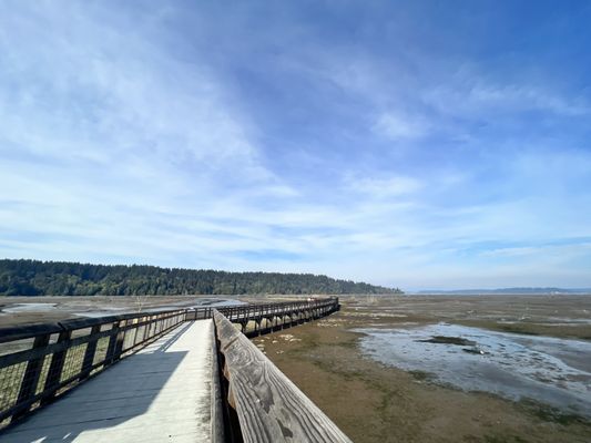 Billy Frank Jr. Nisqually National Wildlife Refuge by null