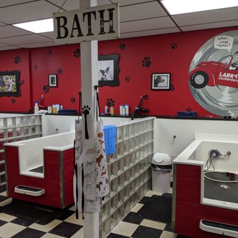 Larry's Laundromutt - Interior - Pet Groomers Near Me - Sewickley, Pennsylvania