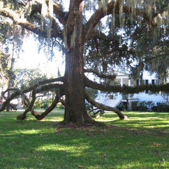 Emma's Earth Shop - Historical Tours Near Me - Beaufort, South Carolina