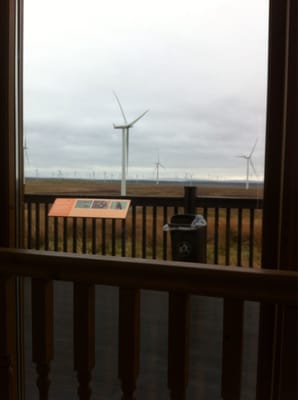 Whitelee wind farm by null