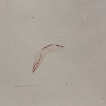 Lordon Management - Blood smeared on the common area door leading to carport. - Property Management Near Me - Westlake Village, California Lordon Management - Blood smeared on the common area door leading to carport. - Property Management Near Me - Westlake Village, California